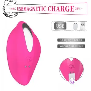 Wearable Panty Wireless Remote Control Clitoral Stimulator Vibrator