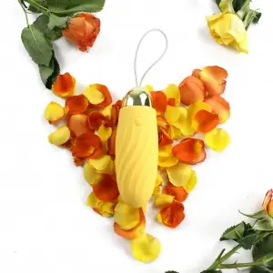 Remote Control G-Spot Stimulation Clitoral Egg Vibrator