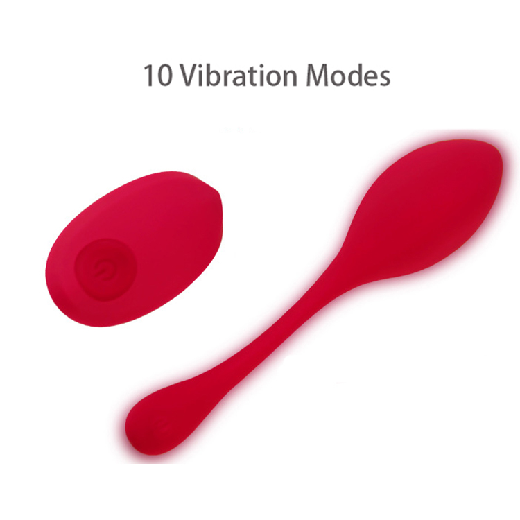 remote sex toys (4)