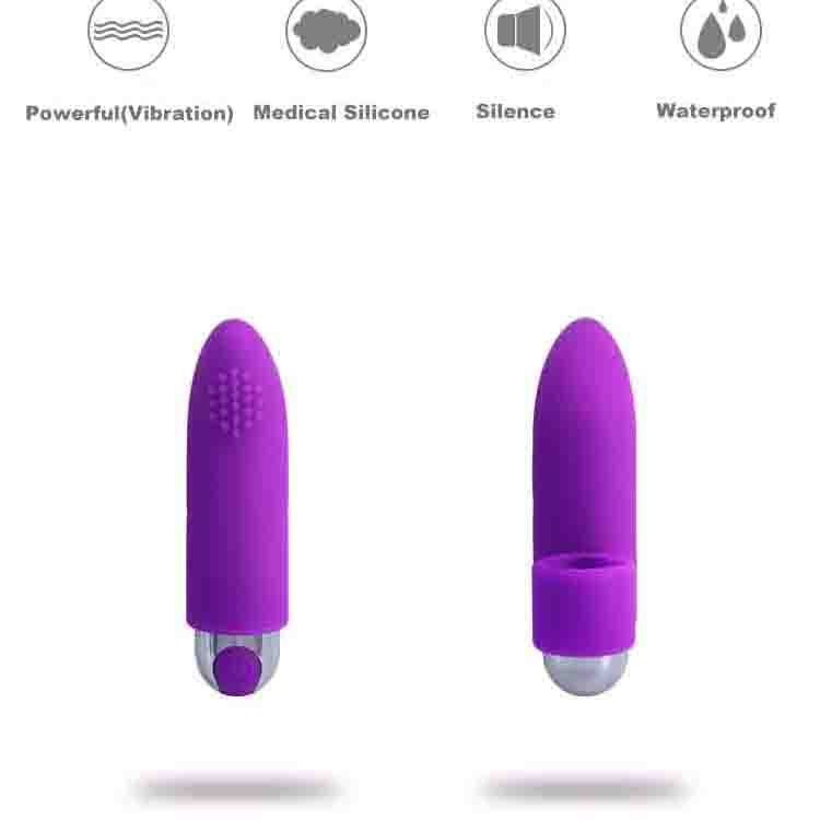 Bullet Vibrator  (2)