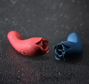 Rechargeable Rose Clitoris Nipple Licker 2 in 1  Clitoral G Spot Dildo Vibrator