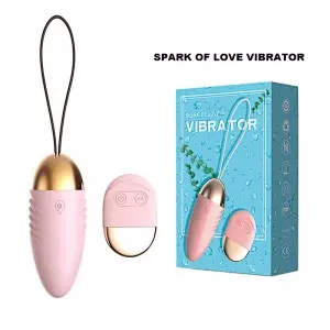Wireless Remote Control Vibrating Bullet Egg Vibrator