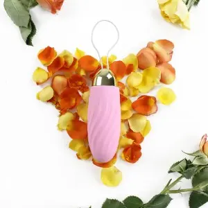 Remote Control G-Spot Stimulation Clitoral Egg Vibrator