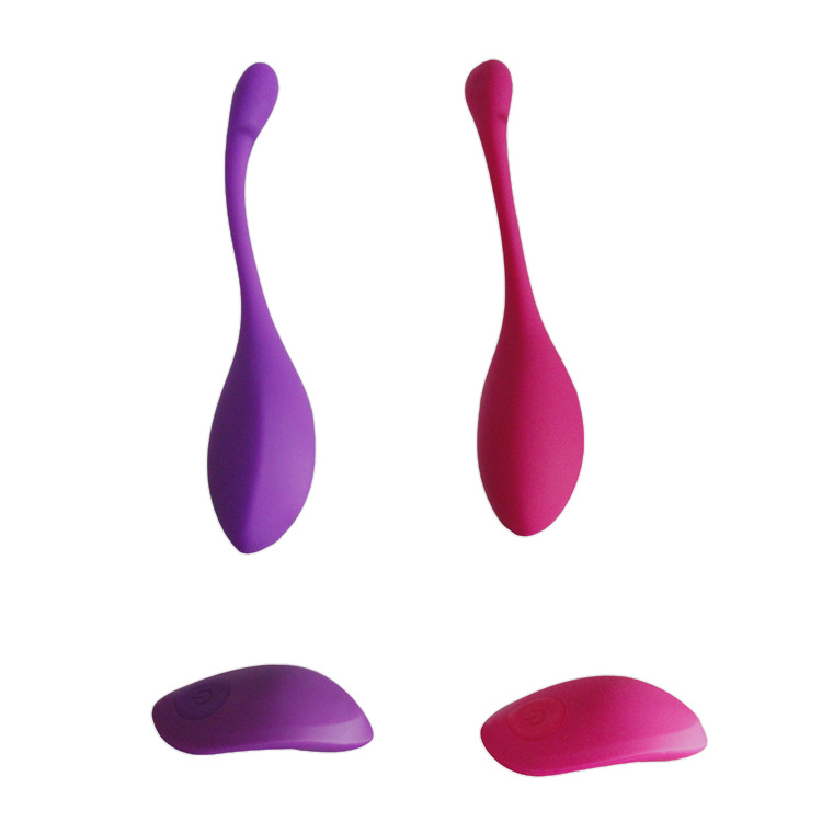 remote sex toys (10)