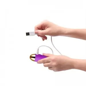 Wireless Remote Control  Waterproof Vibrating Love Egg