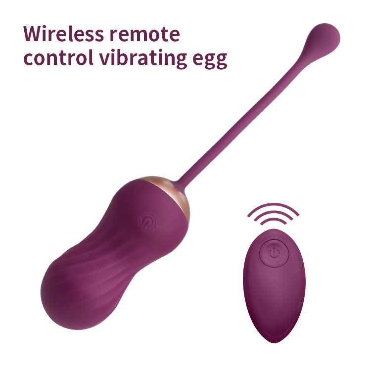 Remote  Vibrator (3)