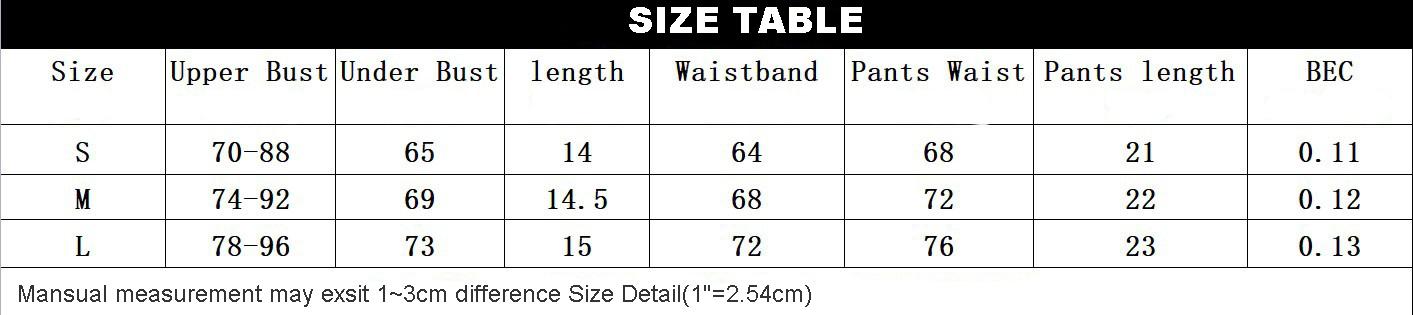 Chemise With Garter Belt Set (2)